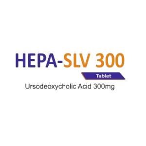 HEPA SLV 300